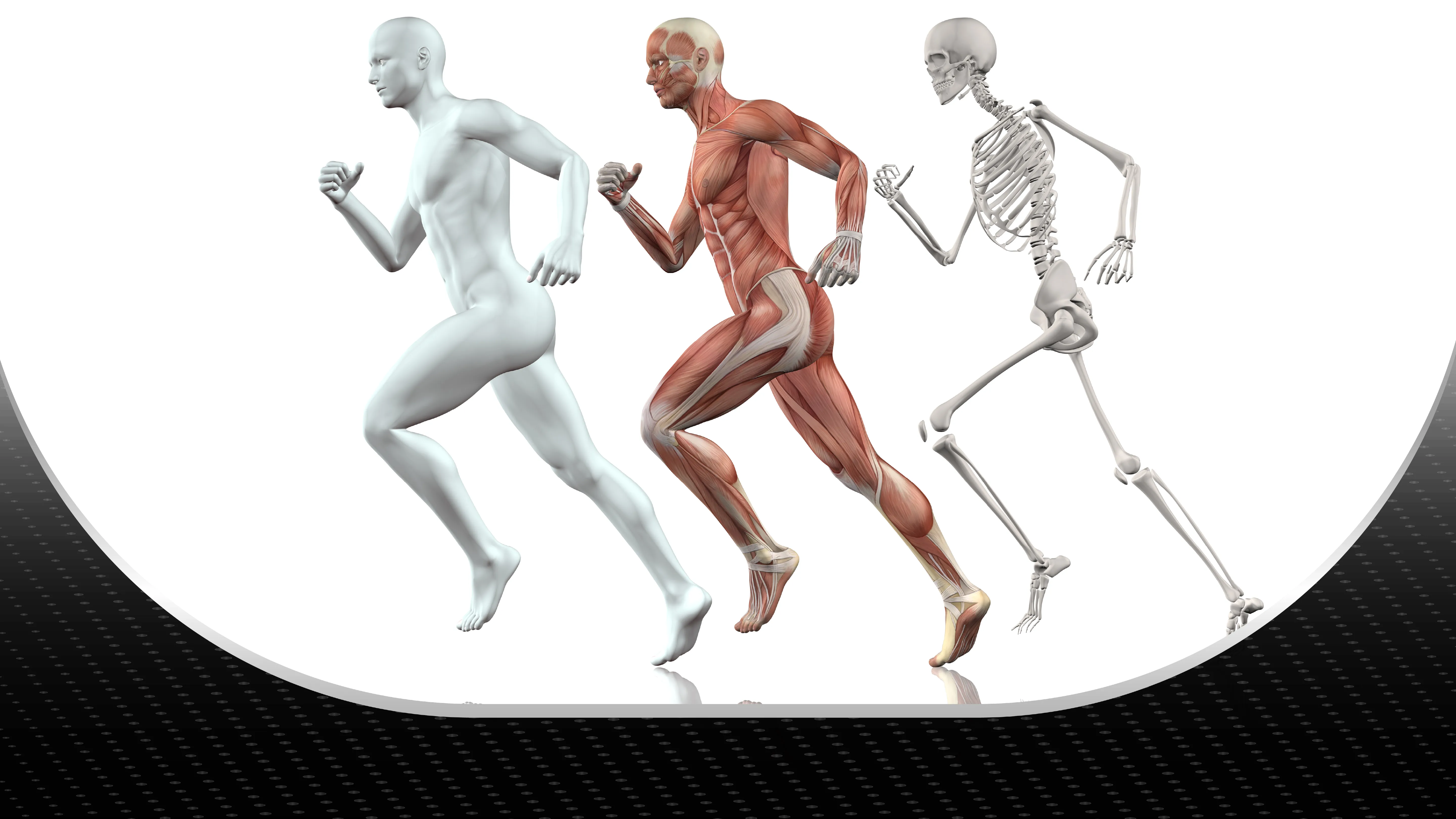 How K-Laser Treats the Body from Head to Toe