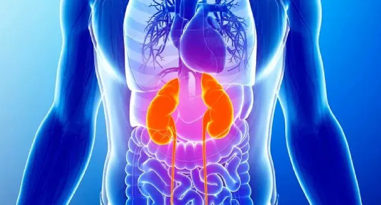 Chronic Kidney Disease